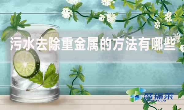 污水去除重金屬的方法有哪些？