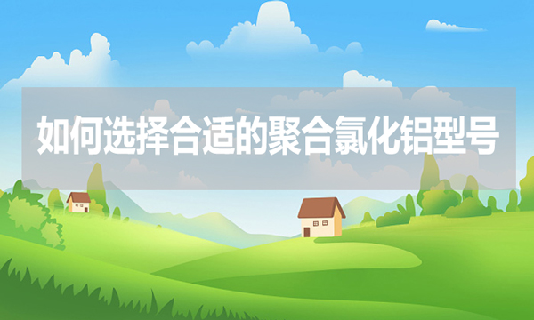如何選擇合適的聚合氯化鋁型號(hào)？